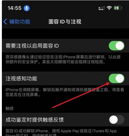 双滦苹果14维修网点分享iPhone14注视感知功能有什么用 